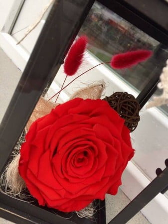 15995425_1372934872746441_356462519_n