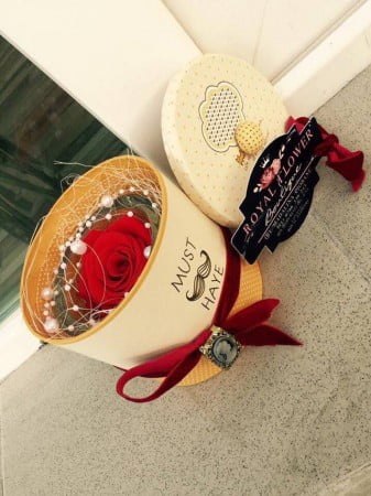 15995537_1372934832746445_897386586_n