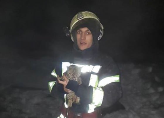 16142730_1895985343966511_6460983132813633375_n