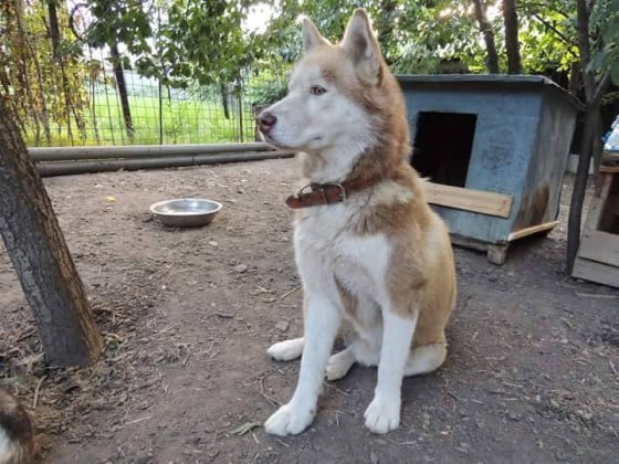 16144305_1223048064429996_516753527_n