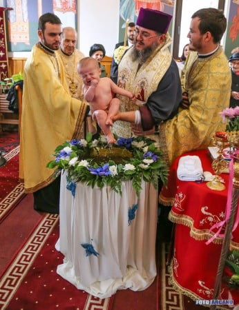 16426113_584785678388135_2087446155238391727_n