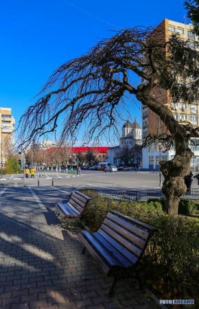 15356592_559233360943367_9210893346241017652_n