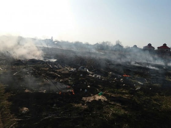 17035573_1236266843131277_1736644841_n