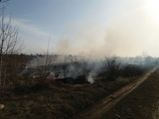 17035584_1236266966464598_676304737_n