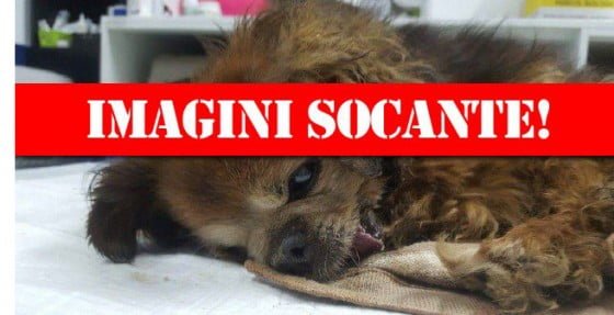 wtIMG_7485111-640x360