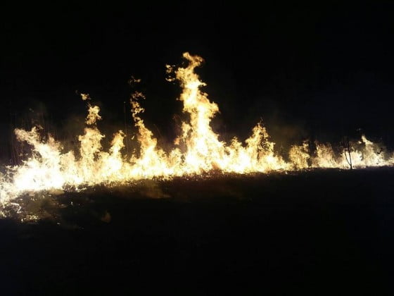 17160797_1240119016079393_769513874_n