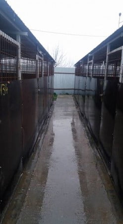 17264328_1222568647860028_8549945850248684127_n