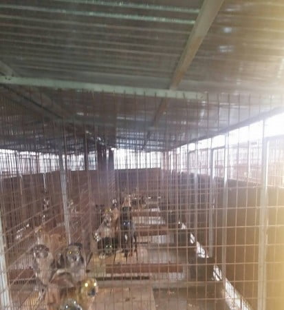 17264671_1222568654526694_323587005189355642_n