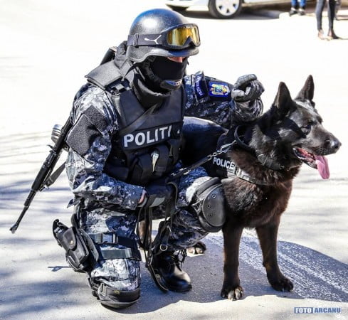 17309572_610501735816529_1671479756250385496_n