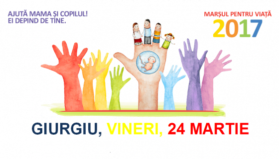 17342698_356633834732322_8646452944849195274_n