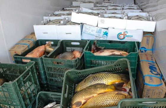 peste si legume confiscate