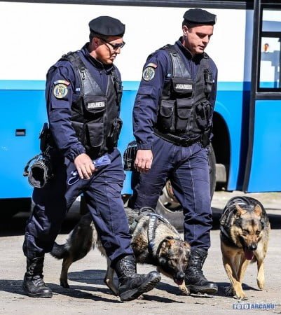 17522601_616410161892353_3220639324308040084_n