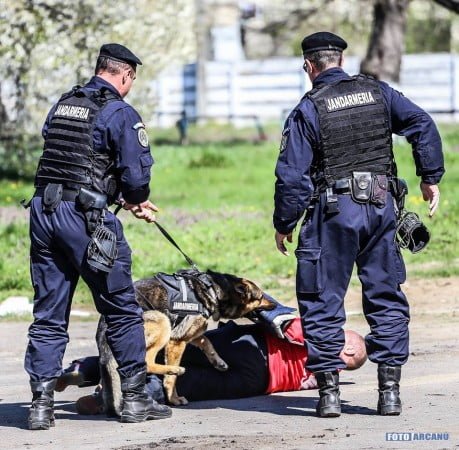 17757260_616408075225895_2169793544276514754_n