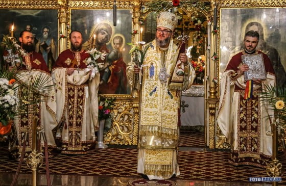 17973937_624236487776387_5130754144791139056_o