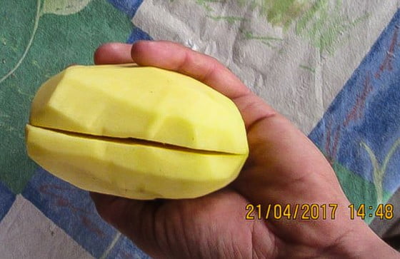 18072526_1479721868769517_1510752599_n