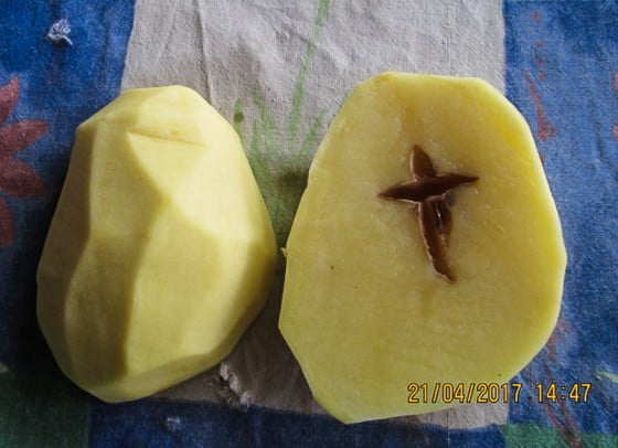 18072595_1479721882102849_1276954781_n