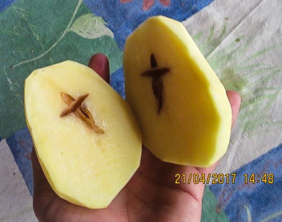 18109530_1479721865436184_2113443384_n