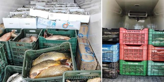 peste-legume-capturate (1)