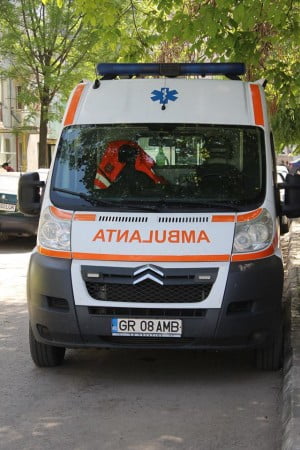 18337271_1163665680425623_1316768745_n