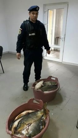 18342408_1405286652866072_8432736109511469069_n