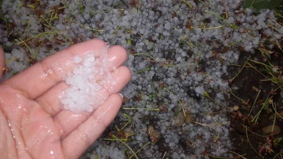 18362277_1481636748537226_610506917_o