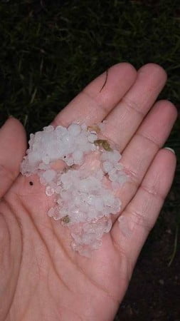 18386542_1481636738537227_178739929_n