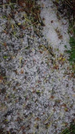 18386676_1481636798537221_1728071918_n