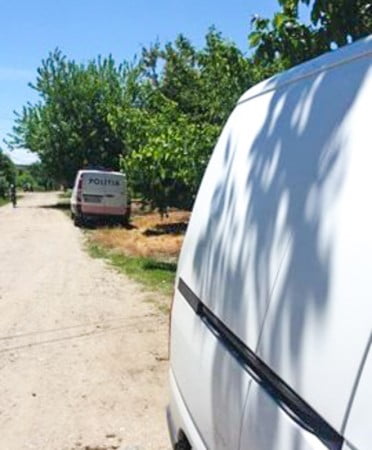 18578818_312525409168265_1085859022_n