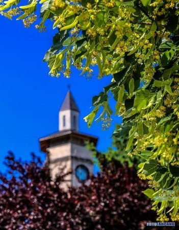 18765731_644624642404238_462813821048249609_n