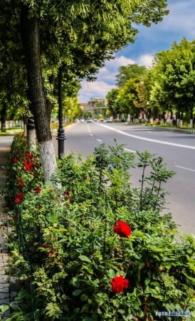 18767892_644624432404259_5721990355194874058_n