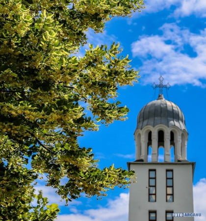 18815083_644624549070914_5088931788681165654_o