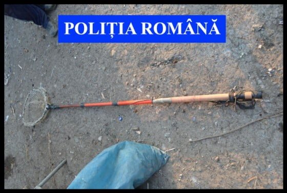 braconaj_Bacau13
