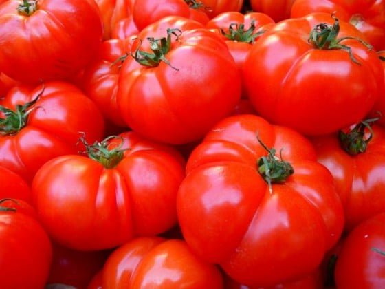 tomatoes-5356_960_720-730x548