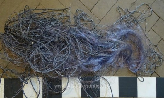 1488447902300-dsc003091-S4