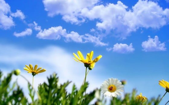 vreme-primavara-soare