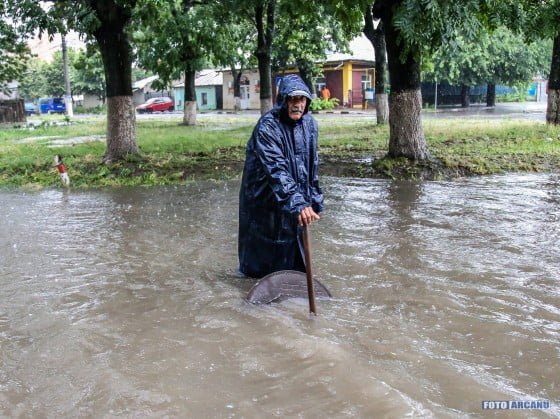 19577478_662715647261804_2149186651948299196_o