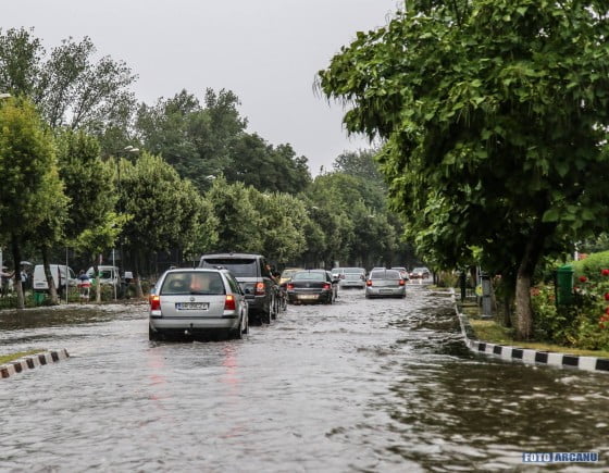 19620171_662713347262034_4247892292718126493_o