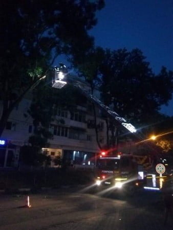 copac cazut pe masina