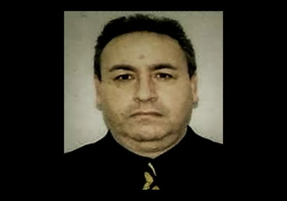 profesor florea stan