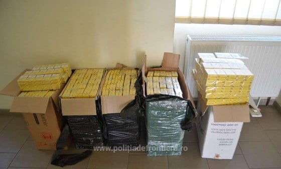 1495620932413-dsc6857-S4