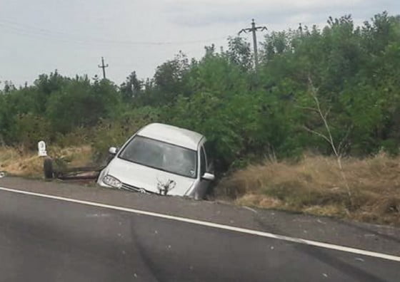 21035237_1536813813007399_1843261254_o-2