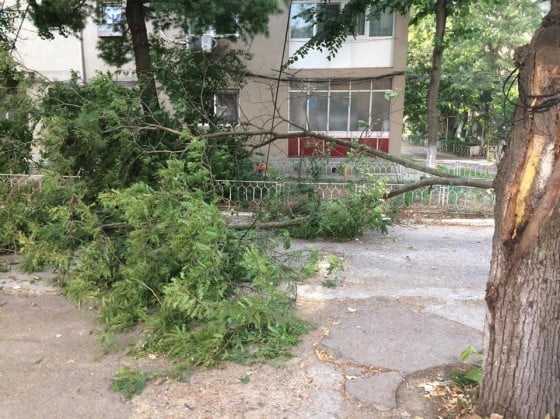 21208884_1956475817921995_1900281405_n