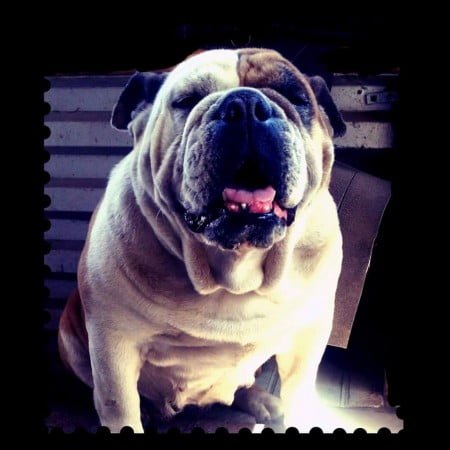 21291320_1940433016230461_1080324802_n