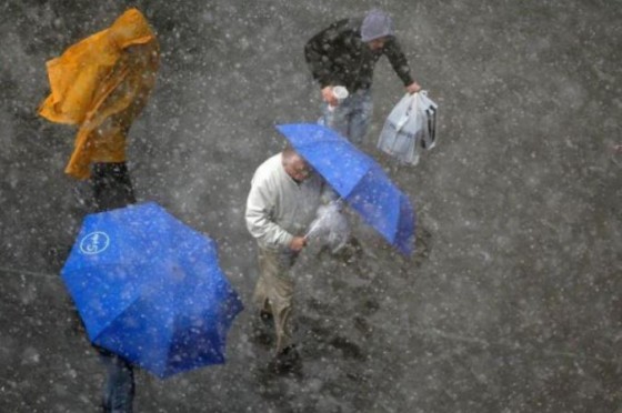 cod-portocaliu-de-ploi-si-vant