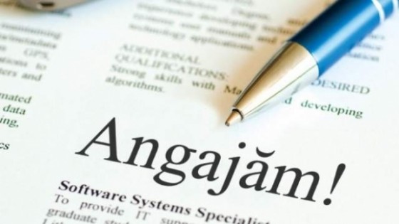 locuri_de_munca_56732700