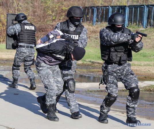 23659334_726309510902417_3528869241499028330_n