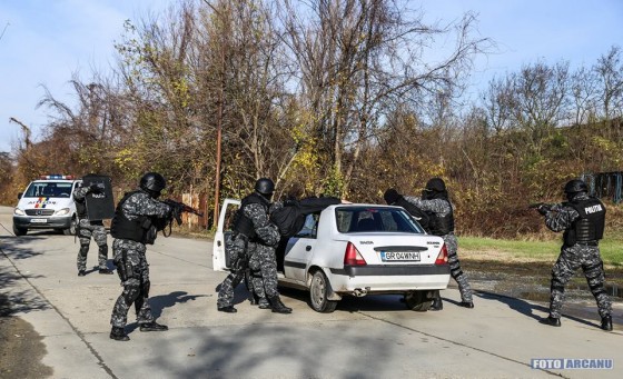 23722558_726309294235772_4045250478411380558_n