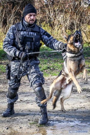 23754802_726314707568564_7387061882442970183_n