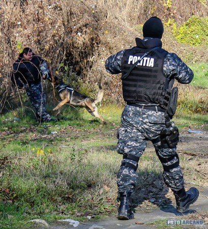 23754903_726315134235188_6034340628017112075_n