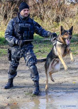 23755743_726315000901868_517424542124556181_n